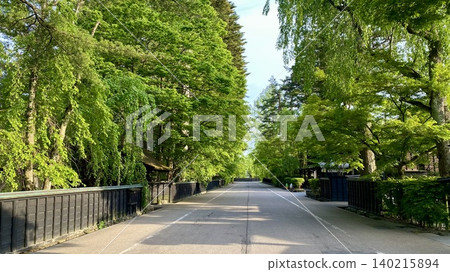 五月的一個美好日子,碧空如洗,綠樹成蔭,武士住宅街道顯得格外美麗(秋田縣仙北市角館町) 五月的一個美好日子,碧空如洗,綠樹成蔭,武士住宅街道顯得格外美麗(秋田縣仙北市角館町) 140215894
