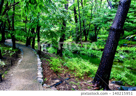 [Osaka] Nagai Botanical Garden in summer: A stream and egret after the rain. 140215951