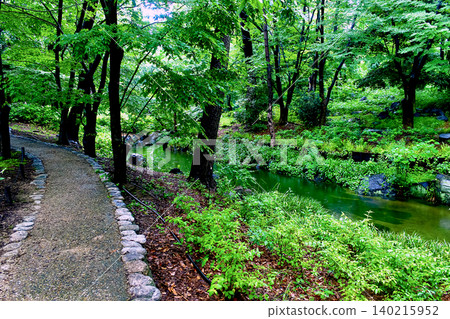 [Osaka] Nagai Botanical Garden in summer: A stream and egret after the rain. 140215952