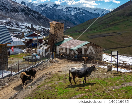 Stone buildings cling to mountain slopes. Village of Ushguli, Georgia. Stone buildings cling to mountain slopes. Village of Ushguli, Georgia. 140216685