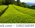 Spreading green tea fields 140216699