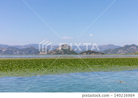 Scenic view of Lake Skadar with water lilies and mountains, Virpazar Scenic view of Lake Skadar with water lilies and mountains, Virpazar 140216984