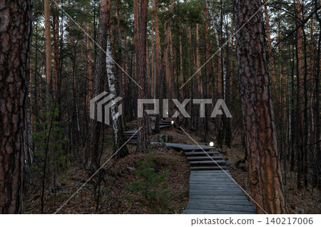 Wooden boardwalk trail through pine forest at dusk with small path lights 140217006