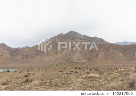 Rugged mountain landscape with arid valley and grazing horses in Kyrgyzstan 140217066