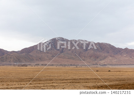 Wide steppe plain with distant mountains and cloudy sky in Kyrgyzstan, Central Asia Wide steppe plain with distant mountains and cloudy sky in Kyrgyzstan, Central Asia 140217231