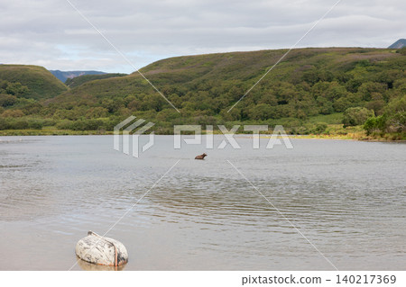 Calm shoreline of Kuril Lake with green hills and cloudy sky, Kamchatka Calm shoreline of Kuril Lake with green hills and cloudy sky, Kamchatka 140217369