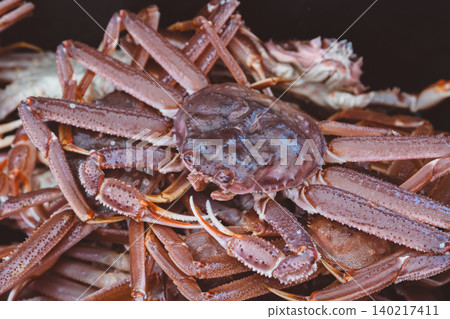Fresh Kamchatka snow crab on ice at seafood market, close up background texture Fresh Kamchatka snow crab on ice at seafood market, close up background texture 140217411