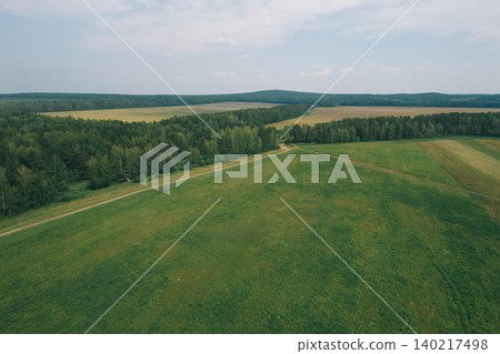 Aerial view of green meadow and forest edge with rural dirt road in summer 140217498