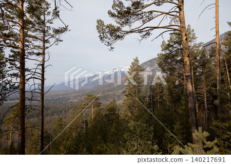 Mountain forest view on the trail to Pik Lyubvi near Arshan village, Russia 140217691