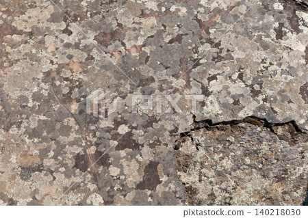 Kalbak-Tash petroglyphs on lichen-covered rock surface, Altai Mountains Kalbak-Tash petroglyphs on lichen-covered rock surface, Altai Mountains 140218030