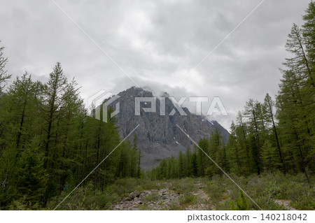 Aktru Valley mountain peak and larch forest under cloudy sky, Altai Mountains Aktru Valley mountain peak and larch forest under cloudy sky, Altai Mountains 140218042