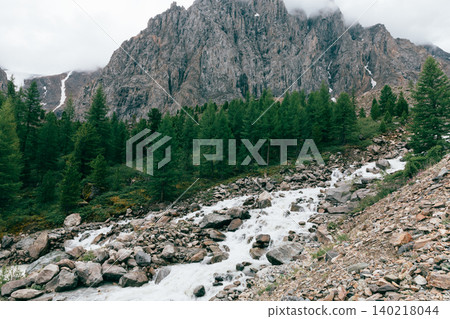 Mountain river and conifer forest in Aktru Valley, Altai Mountains landscape Mountain river and conifer forest in Aktru Valley, Altai Mountains landscape 140218044