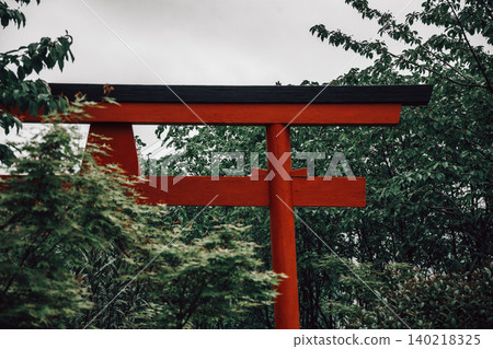 Traditional Red Torii Gate Surrounded by Lush Green Foliage in Serene Garden Setting Traditional Red Torii Gate Surrounded by Lush Green Foliage in Serene Garden Setting 140218325