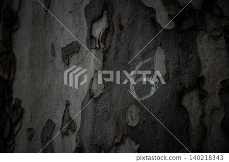 Number 6 Painted on Weathered Tree Bark, Natural Woodland Marking 140218343