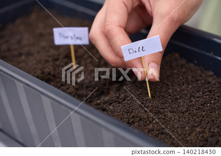 Hand places dill label into soil in planter box during herb planting setup Hand places dill label into soil in planter box during herb planting setup 140218430