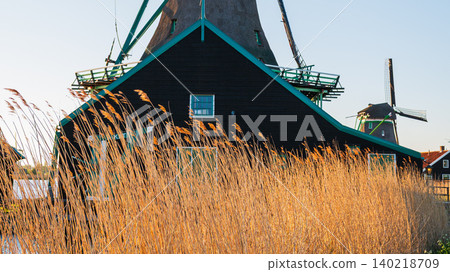 Traditional dutch windmills behind golden reed grass at sunset, historic wooden houses and mills with autumn pampas grass on foreground in zaanse schans netherlands Traditional dutch windmills behind golden reed grass at sunset, historic wooden houses and mills with autumn pampas grass on foreground in zaanse schans netherlands 140218709