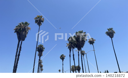 Tropical palm trees and blue sky (3) Tropical palm trees and blue sky (3) 140218872