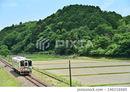 一列火車穿過春意盎然的稻田。 一列火車穿過春意盎然的稻田。 140218980