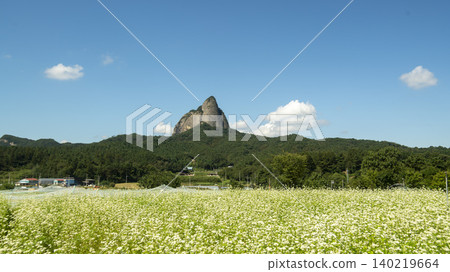 Maisan Maisan 140219664