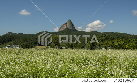 Maisan Maisan 140219667
