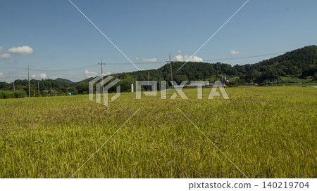 Maisan Maisan 140219704