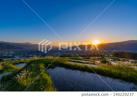 [Nagano Prefecture] Rice planting has begun in the terraced rice fields of Obasute at sunrise. 140220237