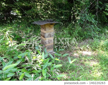 Beehives and bees in Todoroki, Setagaya Ward, Tokyo 140220263