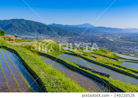 [Nagano Prefecture] Rice planting has begun in the terraced rice fields of Obasute in the early morning. 140220526