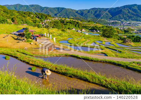 [Nagano Prefecture] Rice planting has begun in the terraced rice fields of Obasute in the early morning. 140220528