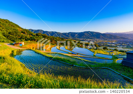 [Nagano Prefecture] Rice planting has begun in the terraced rice fields of Obasute in the early morning. 140220534