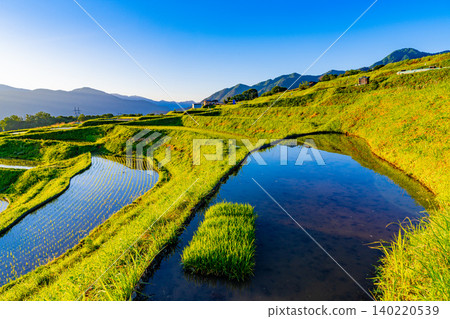 [Nagano Prefecture] Rice planting has begun in the terraced rice fields of Obasute in the early morning. 140220539