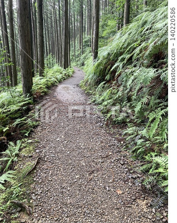 Kumano Kodo Kumano Kodo 140220586