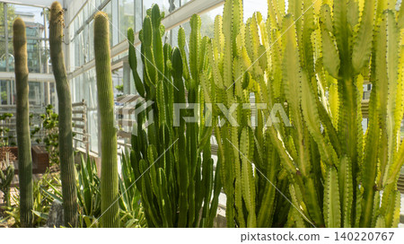 Ansan,Botanical Garden Ansan,Botanical Garden 140220767