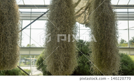 Ansan,Botanical Garden 140220770
