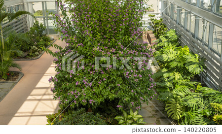 Ansan,Botanical Garden Ansan,Botanical Garden 140220805