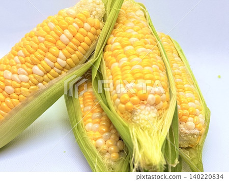 Corn looks delicious Corn looks delicious 140220834