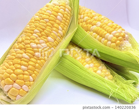 夏季蔬菜玉米 夏季蔬菜玉米 140220836