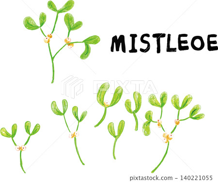 Hand-drawn colored pencil mistletoe Hand-drawn colored pencil mistletoe 140221055
