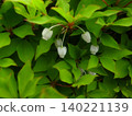Daeda Dunziae 140221139