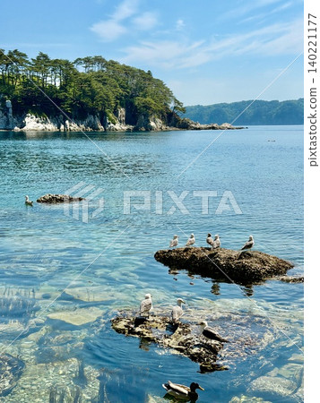 五月晴朗的一天,碧空如洗,綠樹成蔭,一隻海鷗棲息在淨土濱海灘的岩石海岸上。 (岩手縣宮古市) 五月晴朗的一天,碧空如洗,綠樹成蔭,一隻海鷗棲息在淨土濱海灘的岩石海岸上。 (岩手縣宮古市) 140221177