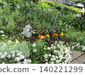 Ice plant, Artemisia, Marigold 140221299