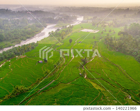 Beautiful morning view in Indonesia, panoramic landscape of rice fields with mountain ranges and clear sky 140221966