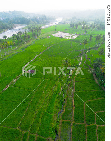 Beautiful morning view in Indonesia, panoramic landscape of rice fields with mountain ranges and clear sky 140221975