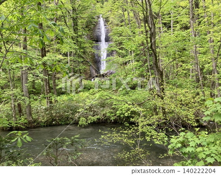 The lush greenery of the Oirase Gorge and Shirabu Falls The lush greenery of the Oirase Gorge and Shirabu Falls 140222204