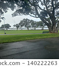 Streetscape of Devonport 140222263