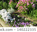 Purple verbena flowers, geraniums, white orlaya flowers, and portulaca. 140222335