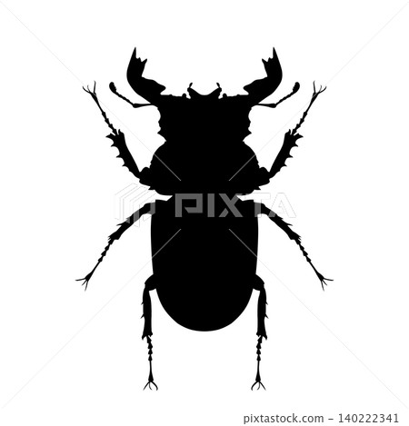 black and white silhouette of a beetle black and white silhouette of a beetle 140222341