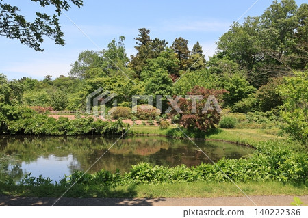 Scenery of Shimizu Park in Noda City, Chiba Prefecture Scenery of Shimizu Park in Noda City, Chiba Prefecture 140222386