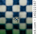 The dandelion fluff and dewdrops stand out beautifully against the checkered background. 140222387
