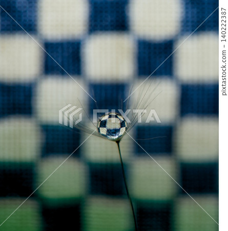 The dandelion fluff and dewdrops stand out beautifully against the checkered background. The dandelion fluff and dewdrops stand out beautifully against the checkered background. 140222387